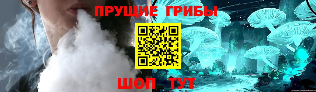 Верхний Уфалей  Галлюциногенные грибы MAGIC MUSHROOMS  Вход с VPN  Псилоцибиновые грибы мицелий 